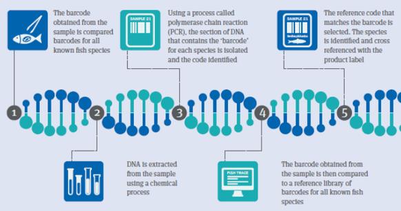 DNA亲子鉴定机构
