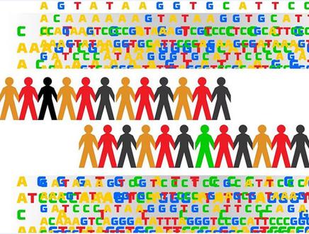DNA亲子鉴定去哪做