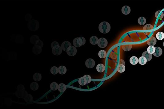 DNA亲子鉴定收费