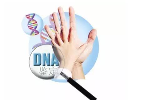 DNA亲子鉴定要求