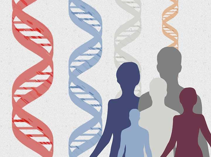 DNA亲子鉴定方法