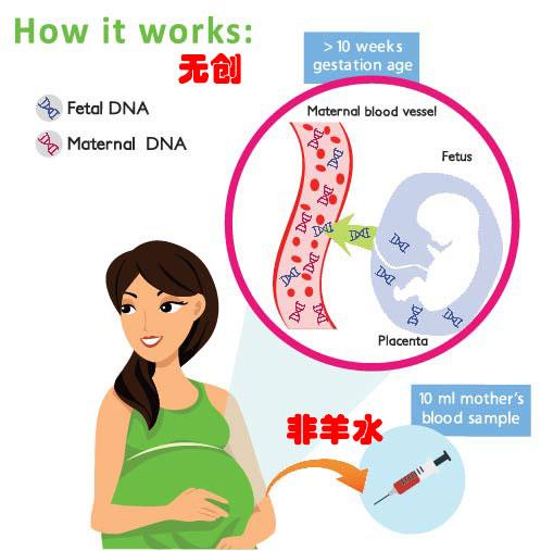 DNA亲子鉴定医院
