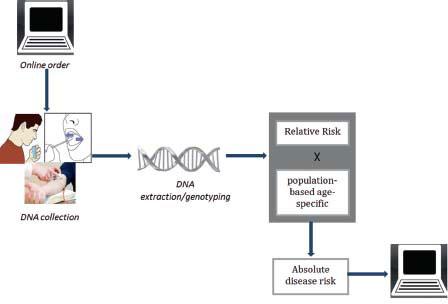 DNA亲子鉴定程序