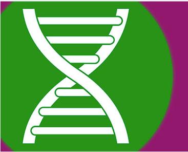 DNA亲子鉴定条件