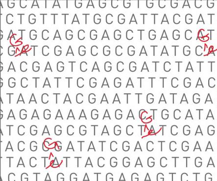 DNA亲子鉴定项目比较