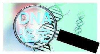 DNA亲子鉴定血痕
