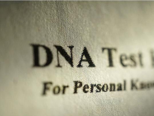 DNA亲子鉴定步骤