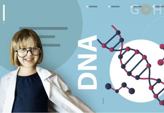 DNA亲子鉴定怎么做