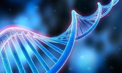 DNA亲子鉴定怎么做