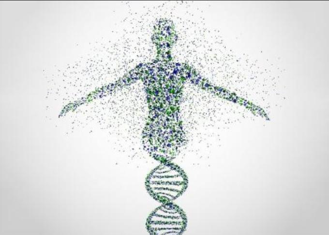 DNA亲子鉴定材料