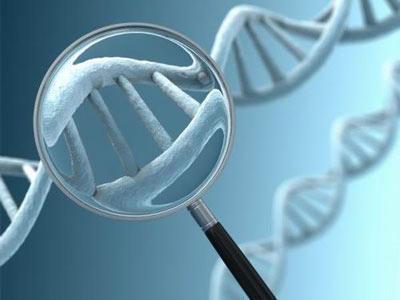 DNA亲子鉴定费用
